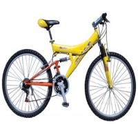 Cycle
